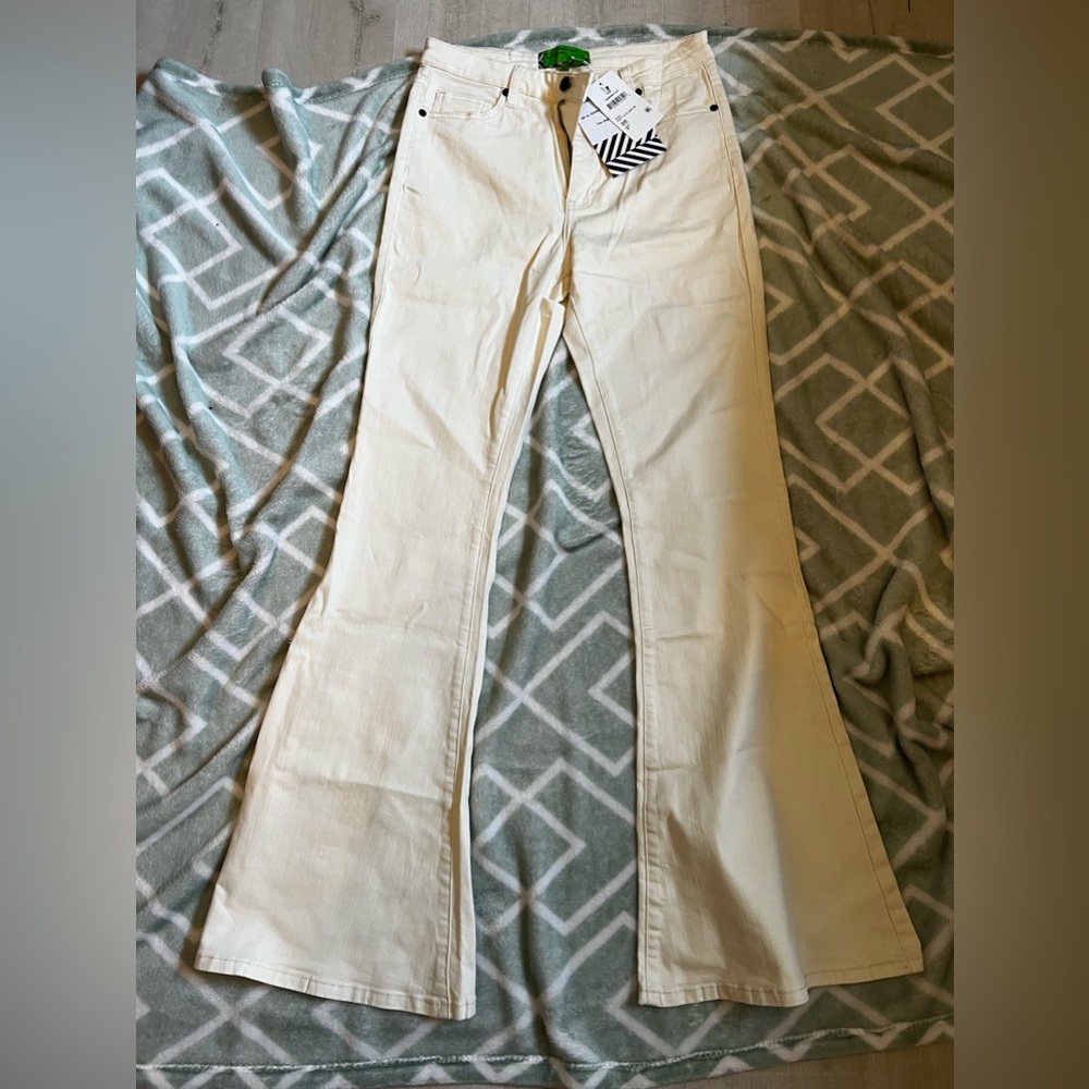 NWT Sandrine Rose/Free People Jeans Flare Leg - Alps color size 30